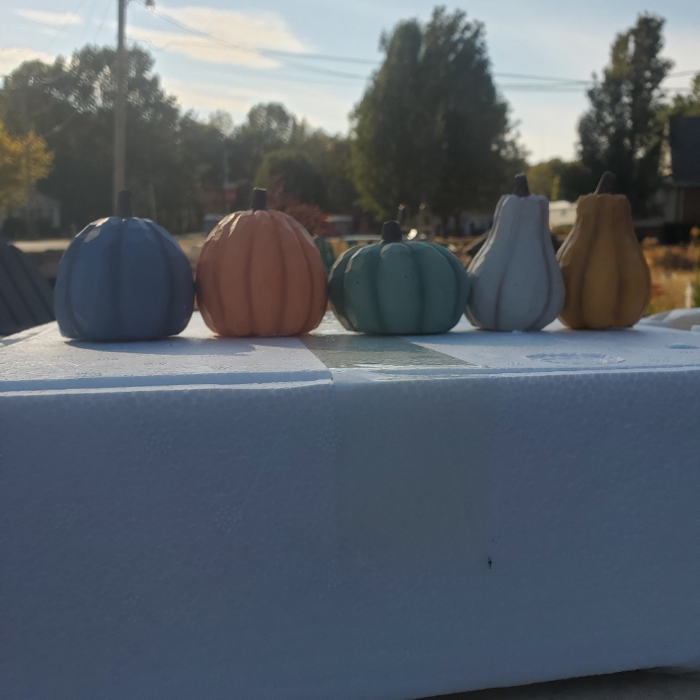 20pc Case Mini Decorative Pumpkins - Picture 4 of 5